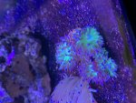 3CE16713-7D91-4071-BA35-DA51231BAAF4.jpg