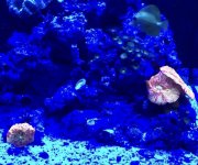 7E71C2A7-BC4E-45B6-B4EF-8BFECB8FF3A2.jpg