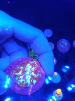 IMG_20190109_151054.jpg