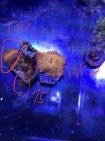 B700908D-E7C3-4E17-8DC2-0F3C17DDE4BB.jpg
