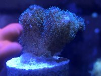 IMG_0832.jpg