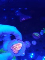 IMG_20190109_150732.jpg