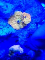 2018-12-26-09-59-31.jpg