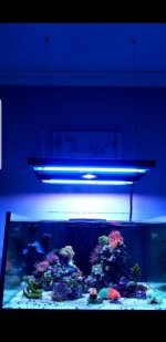 Screenshot_20190112-165649_Gallery.jpg