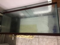 BDE92F9E-3148-4DB7-8E83-58DFFBDE2889.jpg