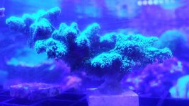20190815_155207.jpg