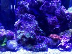 F8A3D059-36D1-4602-9C60-7083A5096AC3.jpg