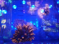 IMG_20190530_160356.jpg