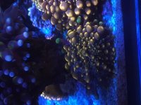 IMG_9023.JPG