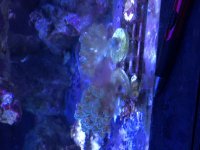 IMG_3243.jpg