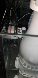 20190310_154834.jpg