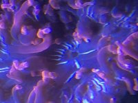 845969D5-8F76-4F08-AB04-089C7F24F1F4.jpg