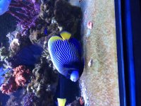 IMG_1283.jpg