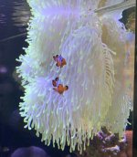 IMG_6114.jpg