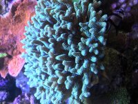 90E4D7E9-95C3-402B-B70F-196C80BC7C49.jpg