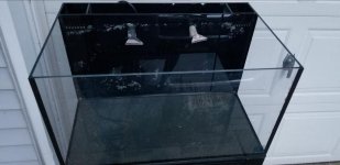Screenshot_20190316-203218_Gallery.jpg