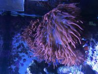 51C84A78-0D8E-4636-9368-75CB6BC5F180.jpg