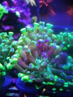IMG_20190602_201733.jpg
