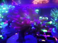 IMG_20190602_201748.jpg