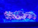 20190317_174506.jpg