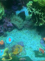 IMG_4378.jpg