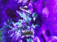 20181025_204930.jpg