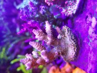 20181025_204901.jpg