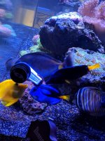 IMG_20190112_160423.jpg