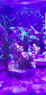 Screenshot_20181026-125358_Gallery.jpg