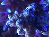 E4158D97-7475-477F-B3AC-B8C6033AAAEA.jpg