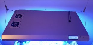 Screenshot_20190817-165820_Gallery.jpg