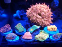 IMG_20181022_132325.jpg