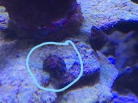 snail1.jpg
