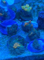 IMG_4400.jpg