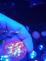 IMG_20190109_151039.jpg