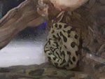 20180920_105243.jpg