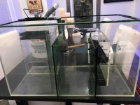 Trigger 26-2.jpg