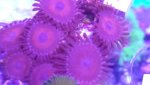 1560103859145.jpg