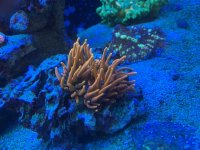 IMG_5199.jpg