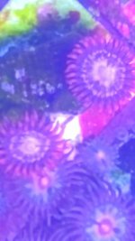 1560103712486.jpg
