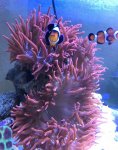 B4532CE3-E9F7-4240-ADD7-764FC3F4D3CA.jpg