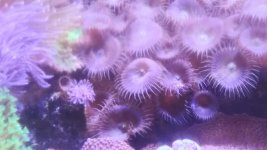 20190611_130129.jpg