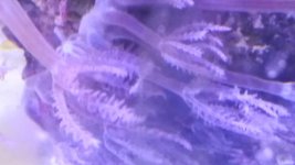 20190611_130152.jpg