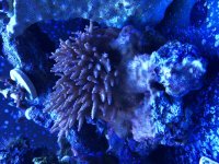 5D81407A-6489-46E9-8A57-38AD52E2FAD6.jpg