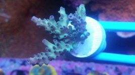 IMG_20181207_190814_187.jpg