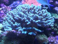 AD150F3E-442D-4038-BFD3-F31EE551D9E0.jpg