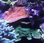 9B68E8FD-DFC9-4847-96C4-FF47A0D120E5.jpg