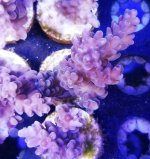 20190613_050031.jpg