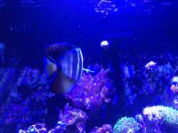 IMG_1664.jpg