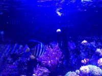 IMG_1665.jpg